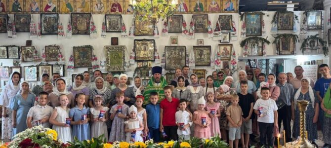 Праздник в честь Дня Святого Духа дружно отметила община храма св. ап. Фомы с. Воинки